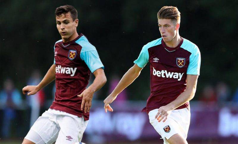 分为球迷投 分为球迷投